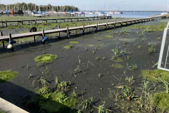1.5 million cubic metres more sludge