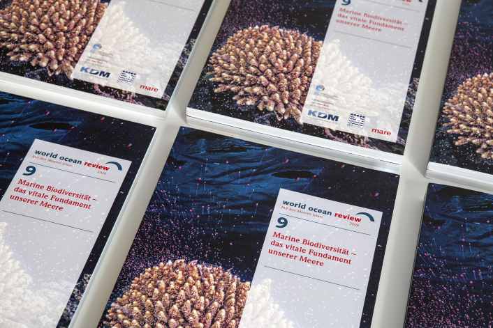 Meeresschutz funktioniert – wenn er richtig umgesetzt wird