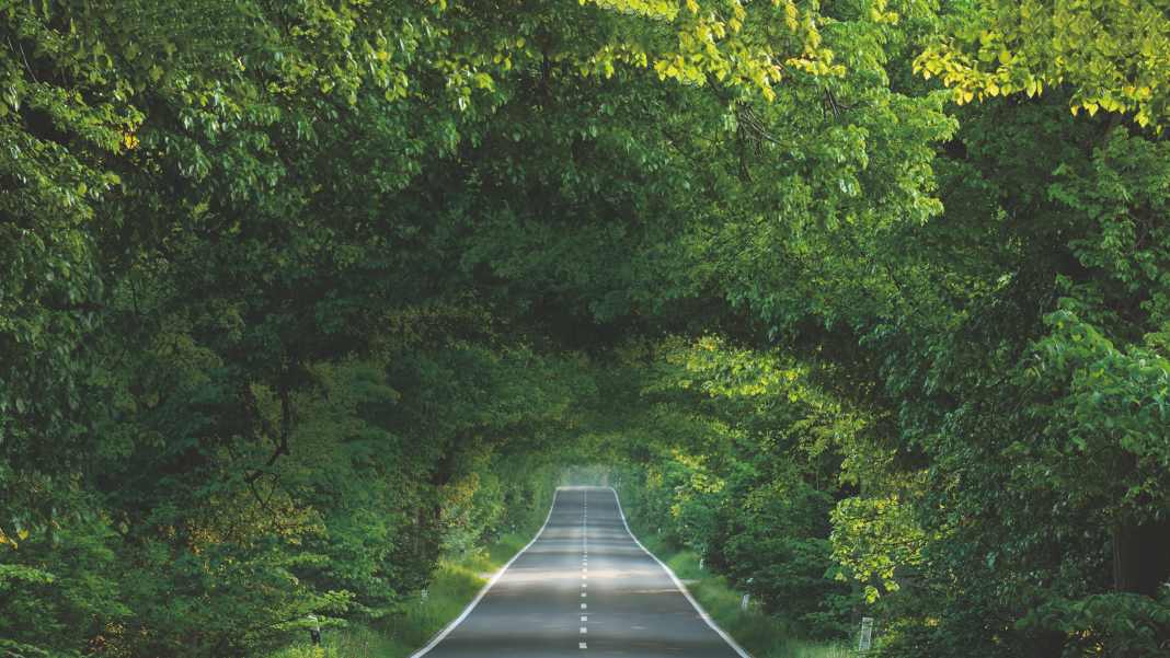 DEUTSCHE ALLEENSTRASSE - TUNNELBLICK