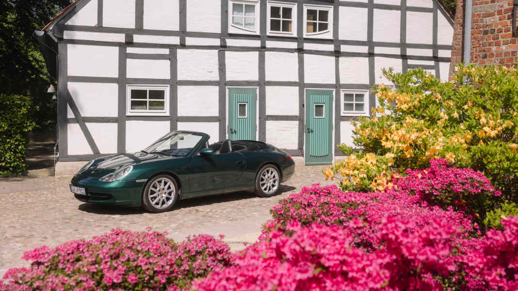 Das ganze Jahr Sommer