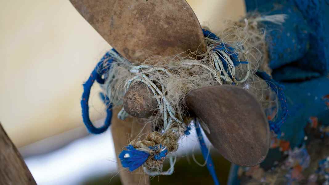 Die wichtigsten Schritte im Notfall