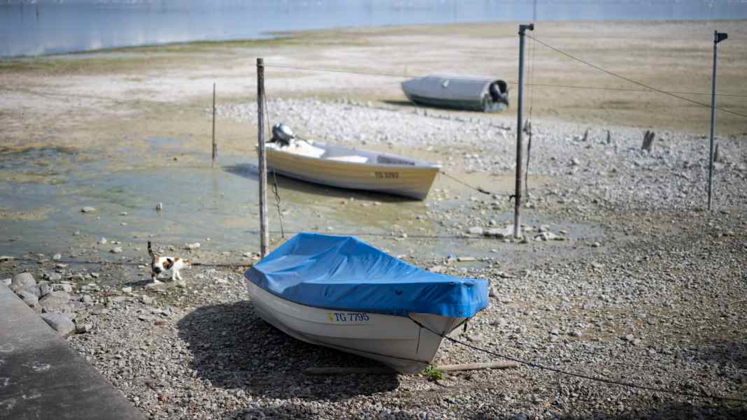 Historisch tiefer Wasserstand