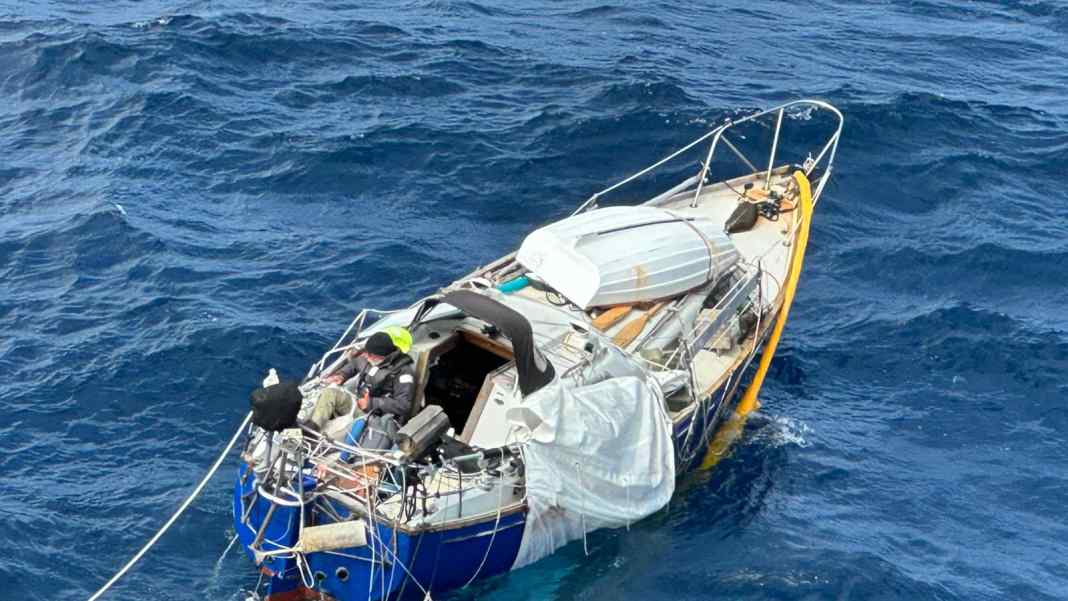 Kreuzfahrtschiff rettet Einhandsegler