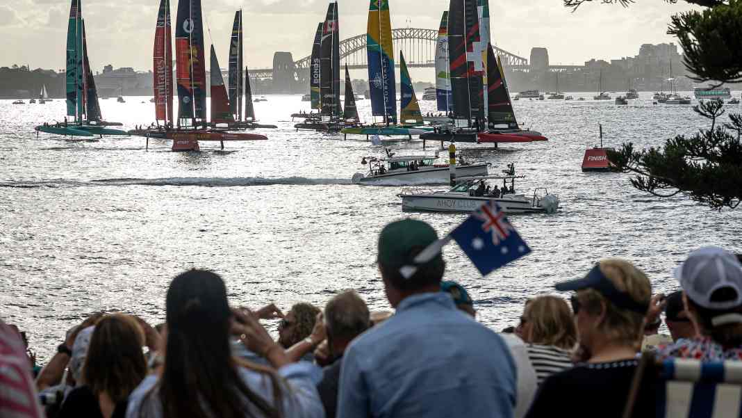 Entschleunigung in Sydney – auf Samtpfoten ins Ziel