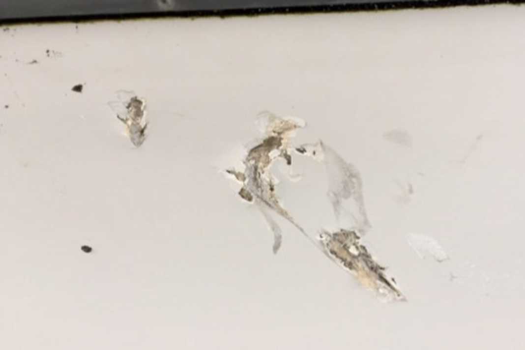 Die richtigen Versicherungen für Ihren Bootsurlaub