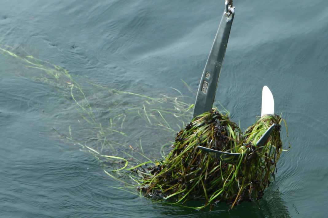 Sweden launches digital anchor initiative