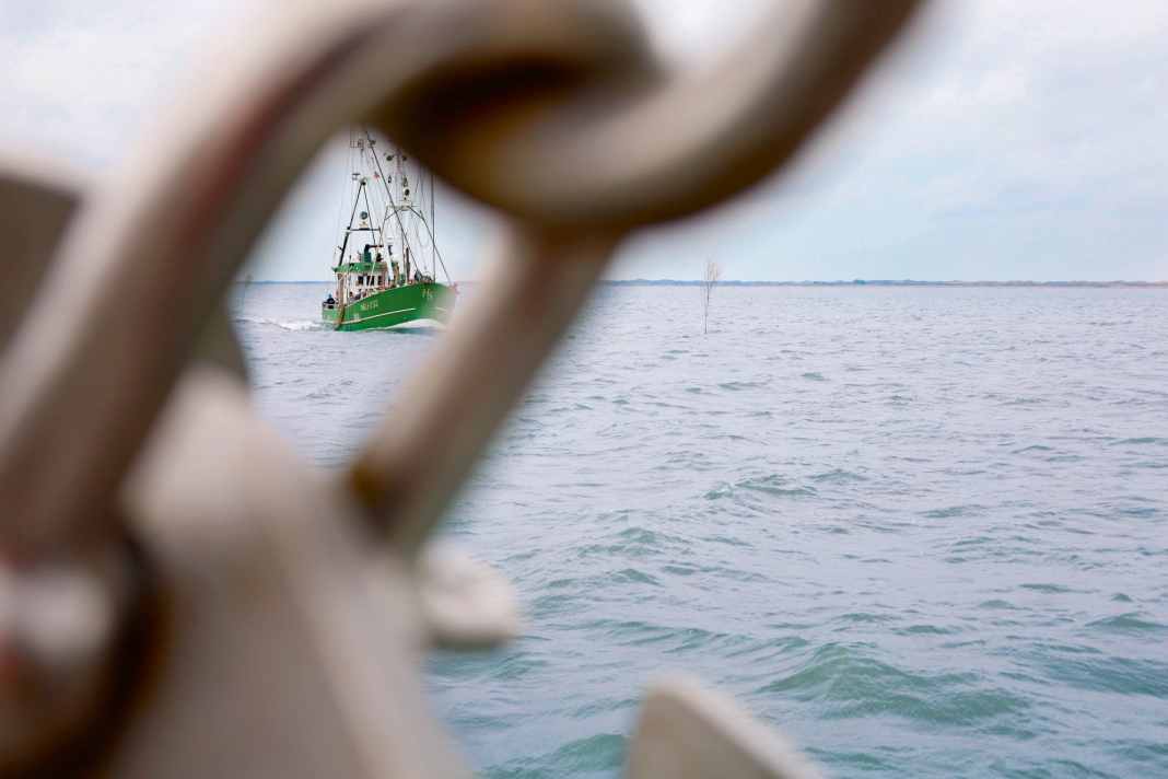 How to cross the Wadden Sea stress-free