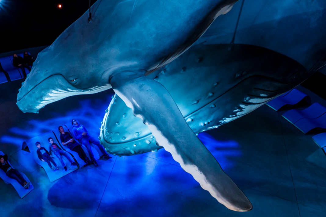 Maritime Museen – sechs Highlights