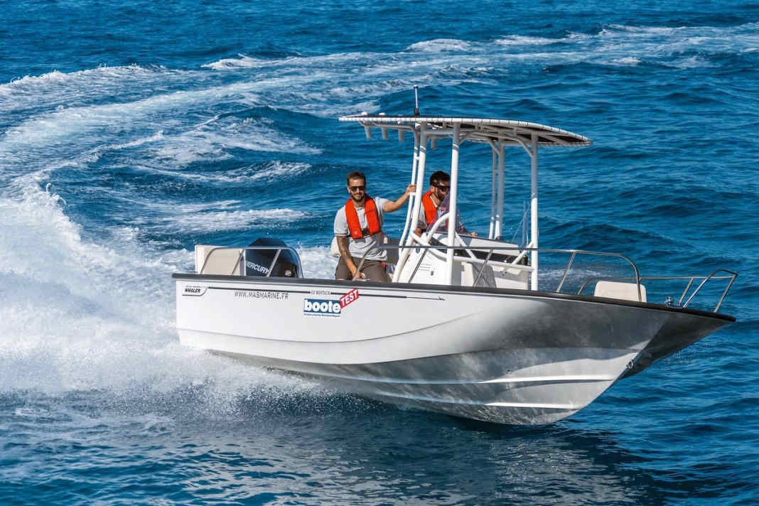 Boston Whaler 210 Montauk - new edition