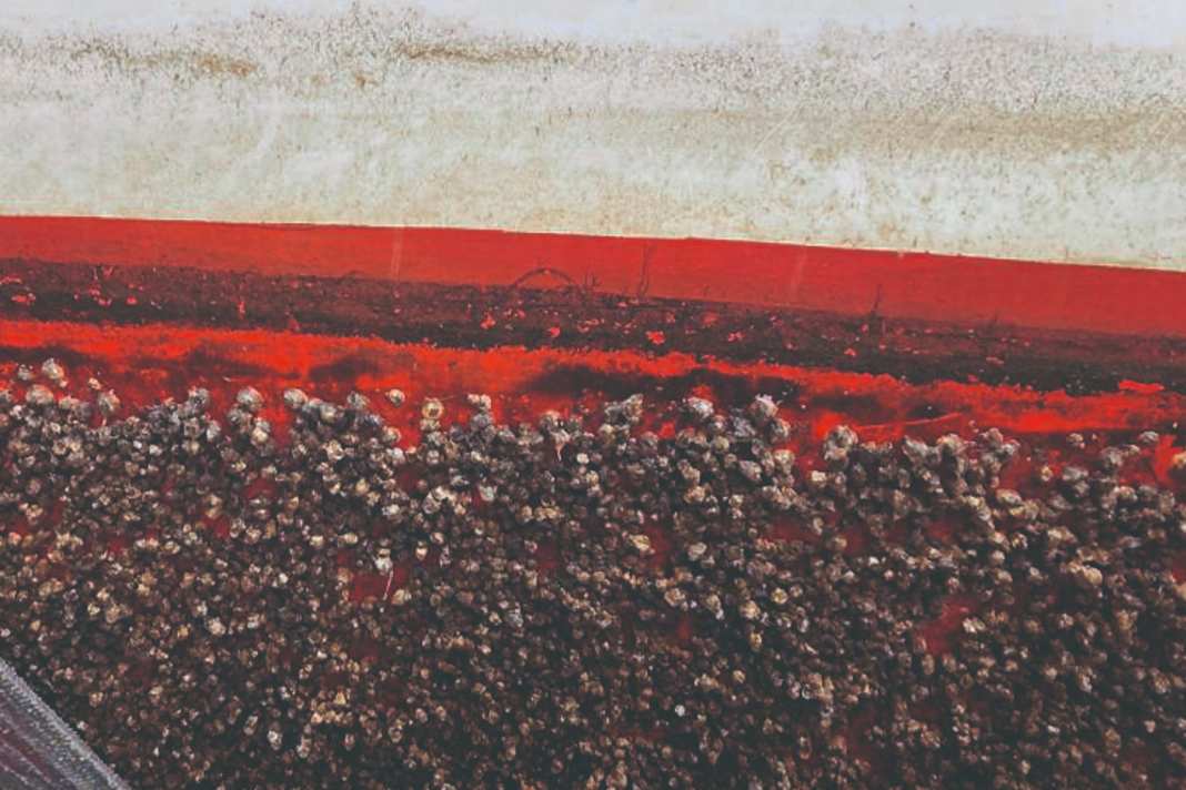 Antifouling systems at a glance