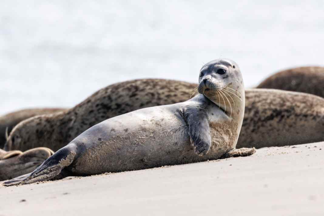 Babyboom ohne Wirkung