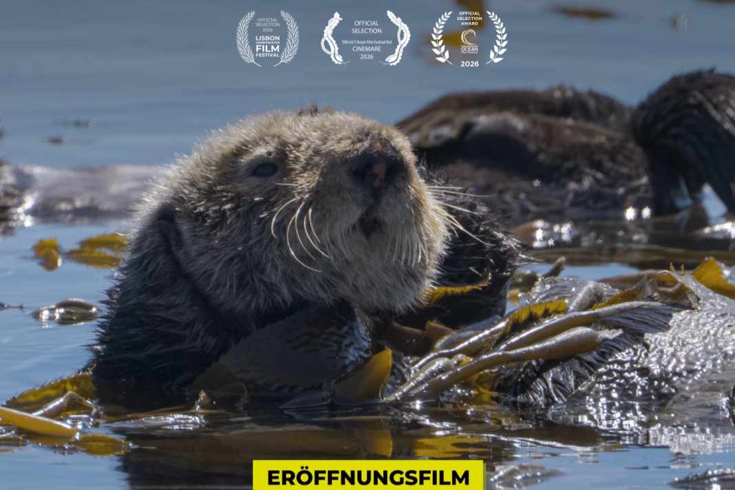 Cinemare läuft ab 5. Mai in Kiel