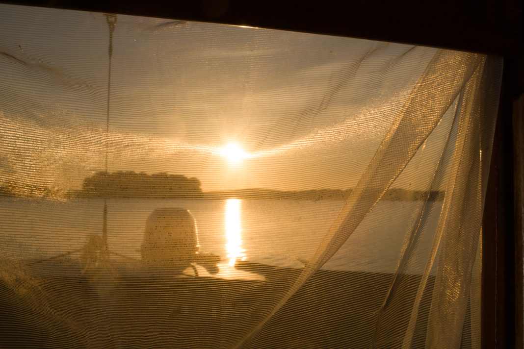 How to protect yourself from mosquitoes in summer