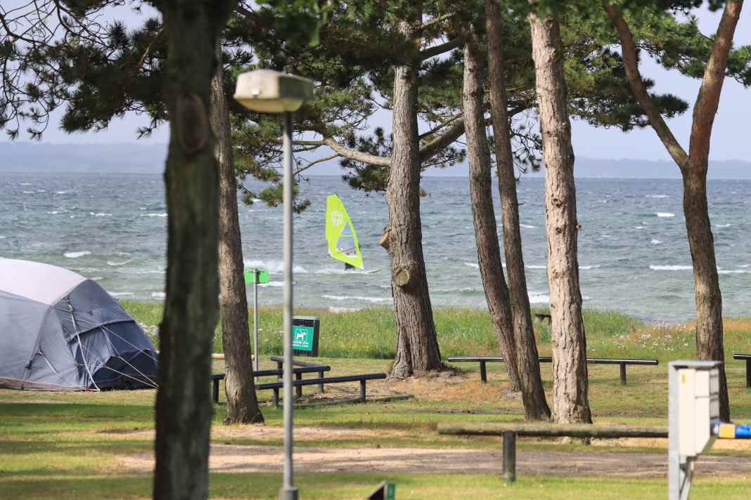 Campingplätze zum Surfen - vom Bett aufs Brett in Dänemark