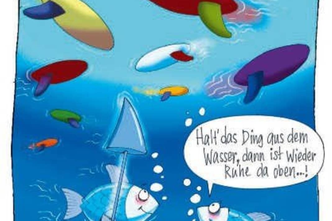 Was denken eigentlich Fische über Windsurfer?