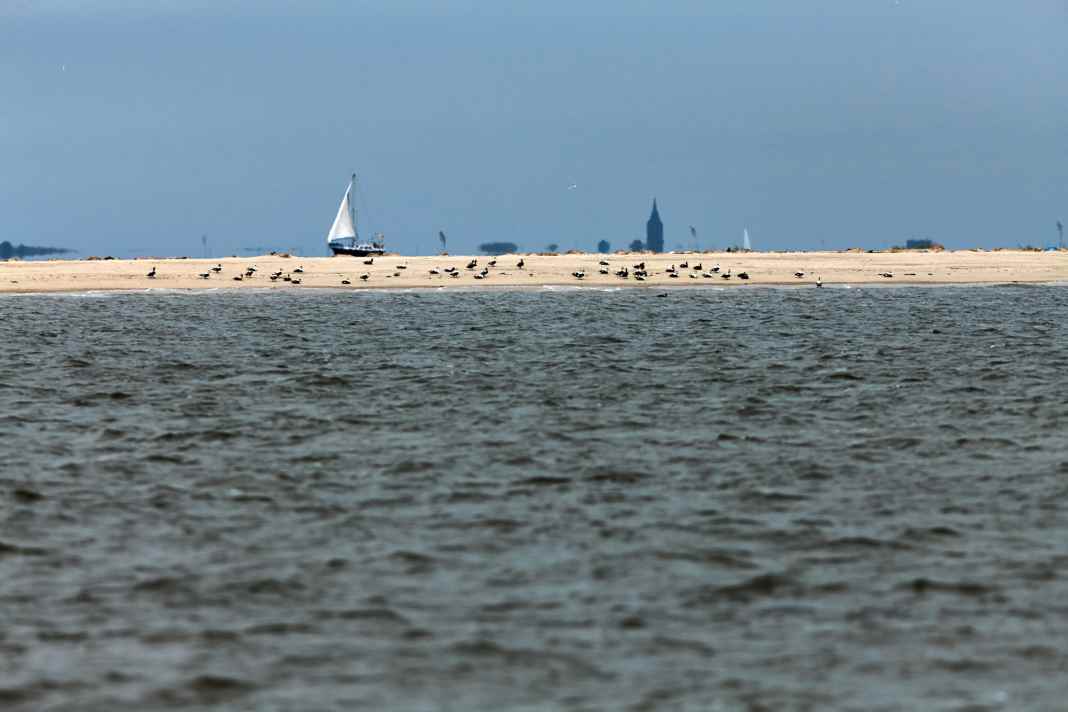 Kontrollieren bald Ranger auf Nord- und Ostsee?