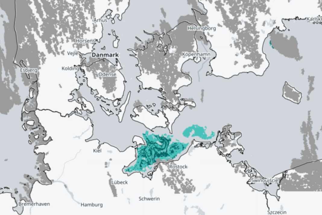 Blaualgen jetzt auch an der deutschen Ostseeküste