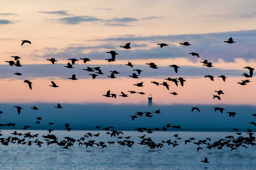 Leuchtturm mit geänderter Kennung