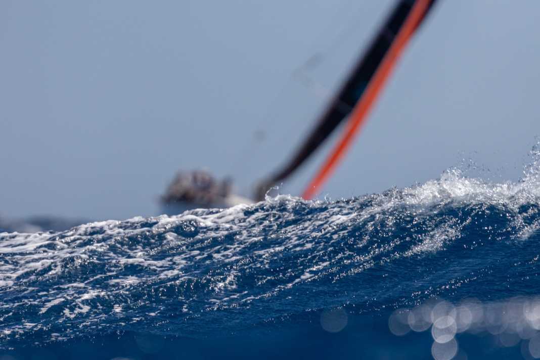 Mein lieber Schwan – “Best Buddies” siegt in Griechenland