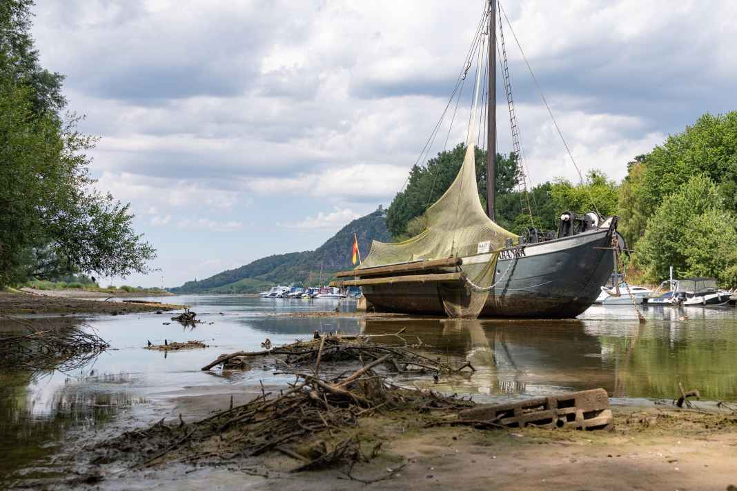 App utili per monitorare i livelli dell’acqua nella pianificazione delle crociere in caso di bassa marea