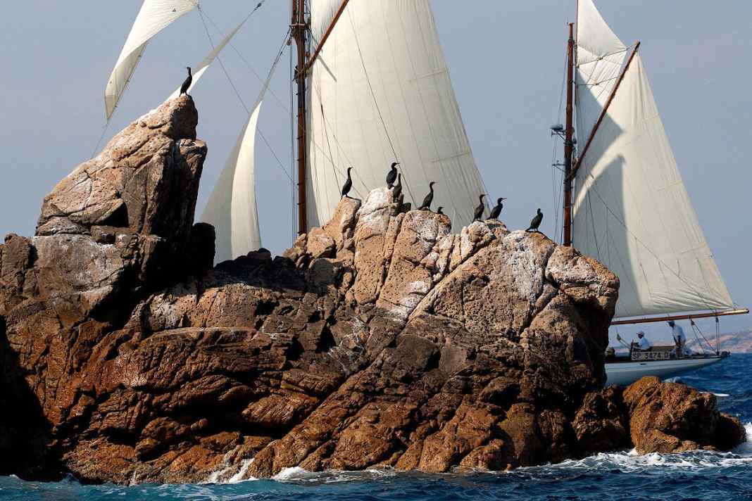 Calendrier international des régates