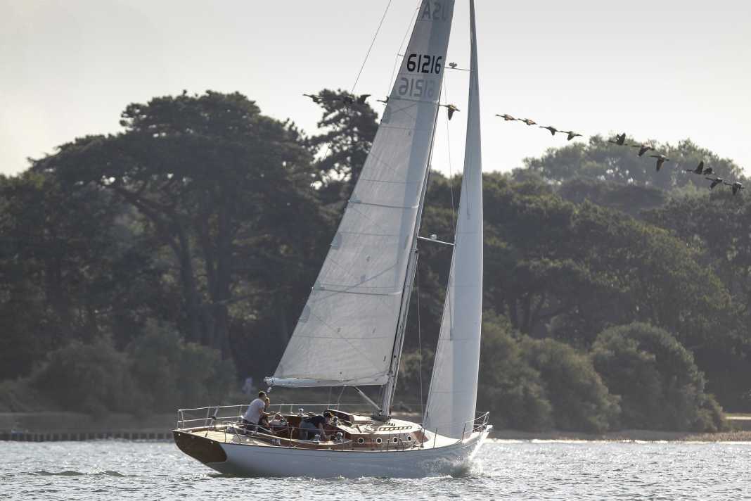 Herzschlagbeschleuniger unter Segeln
