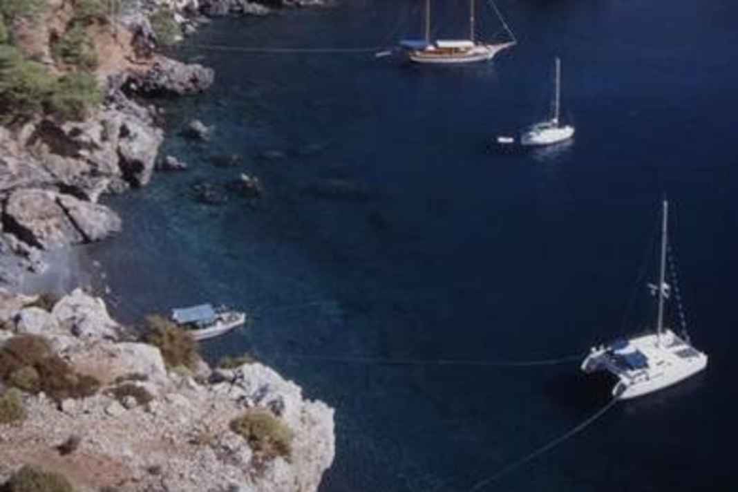 Ne plus attacher les lignes de terre aux arbres