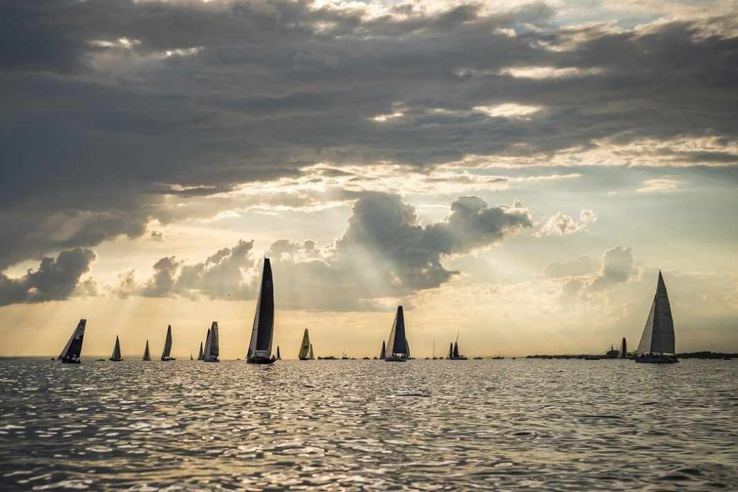 Comment les skippers contribuent à sa protection