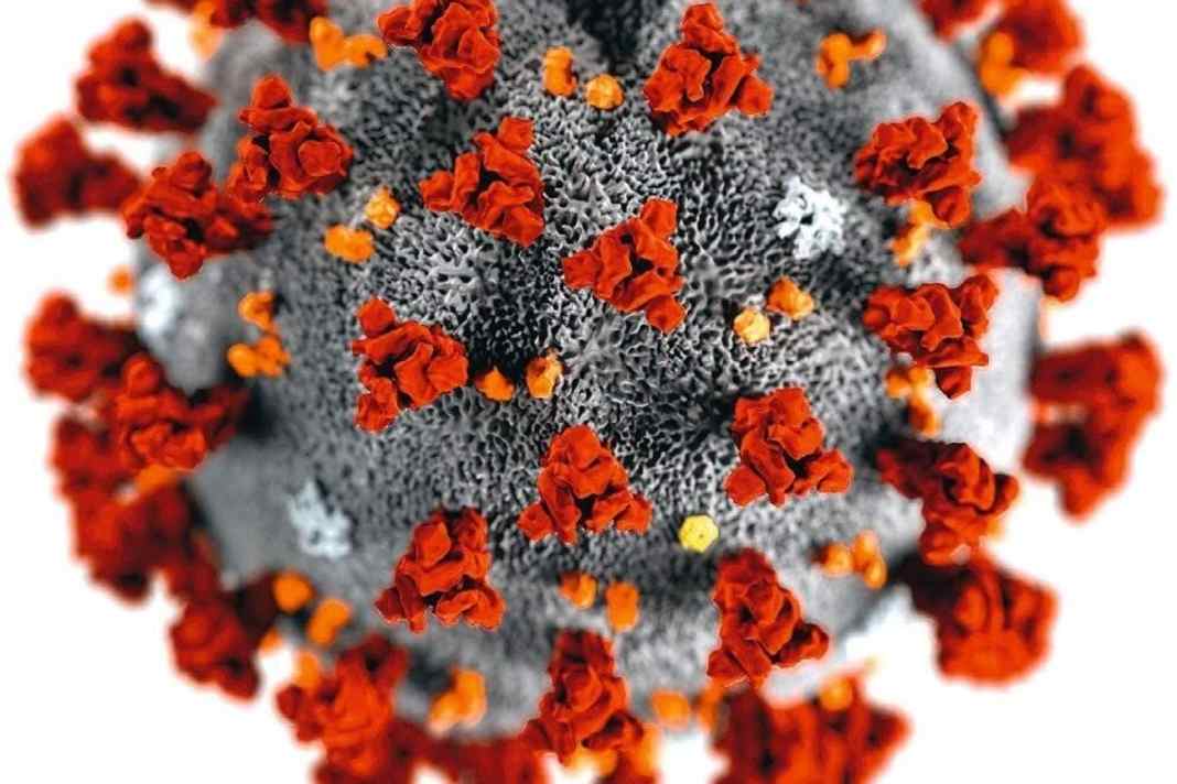 How hard the coronavirus is hitting sailing
