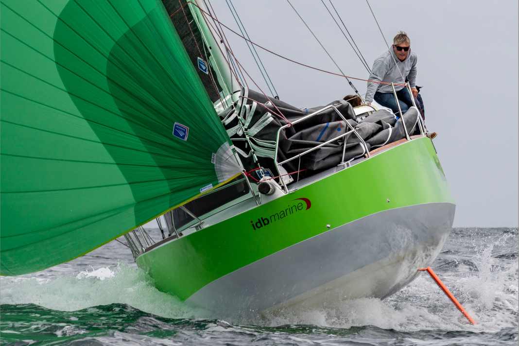 Passera dal naso piatto con un senso per l'essenziale