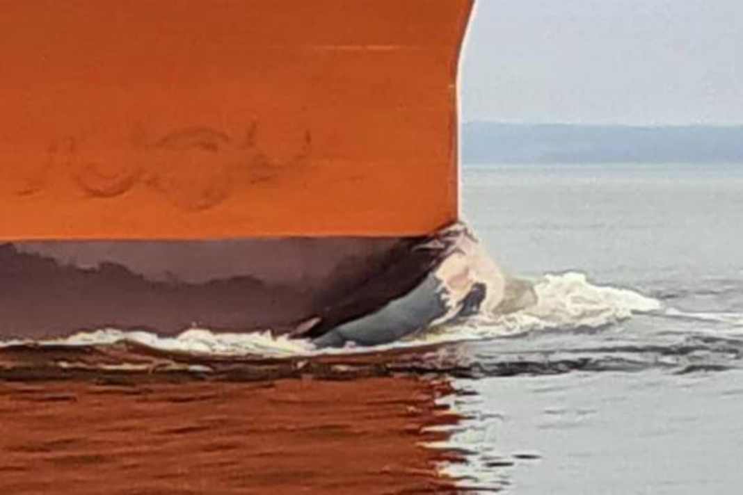 Death by Trump tanker?