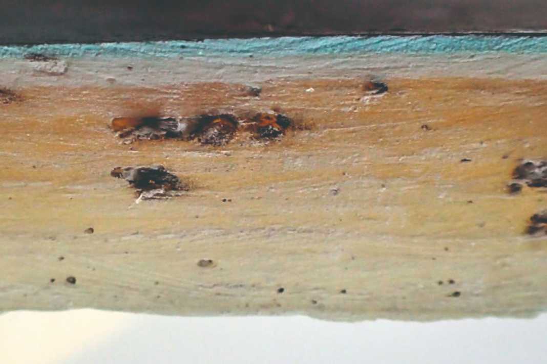 Was ist Osmose bei Segelyachten, wie entsteht sie?