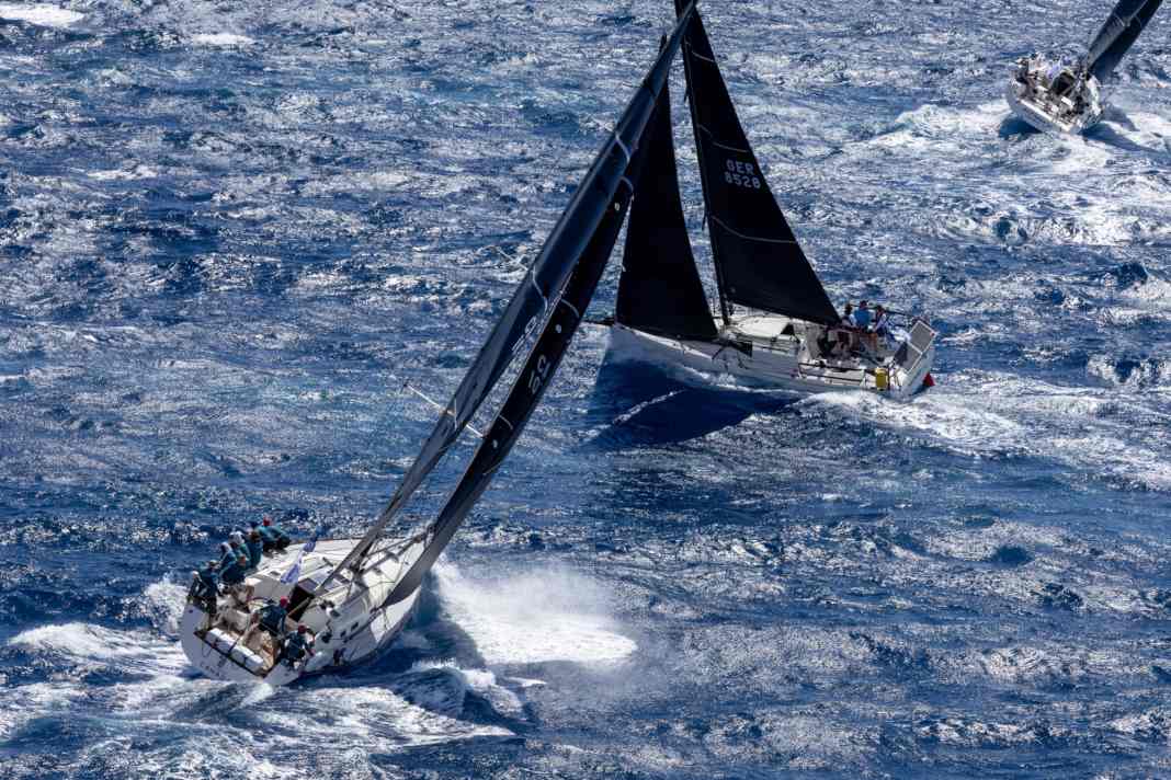 “Momo”, “Haspa Hamburg” und “Red 2” im Rennen