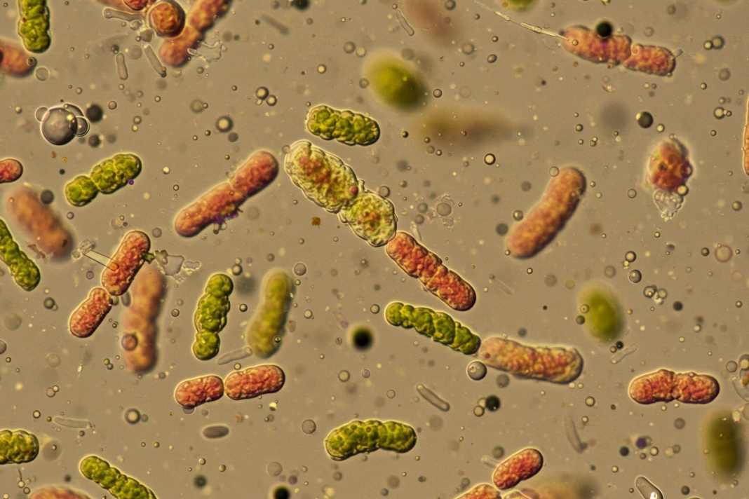 Ein “digitaler Zwilling” der Küste