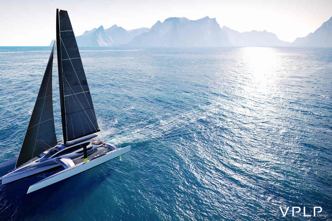 Ultimotri addomesticato della Valle della Vela