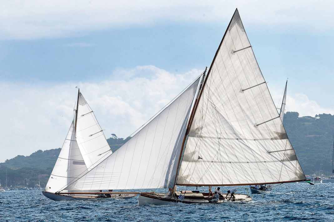 Una replica sovradimensionata dà vita al mitico uccello marino