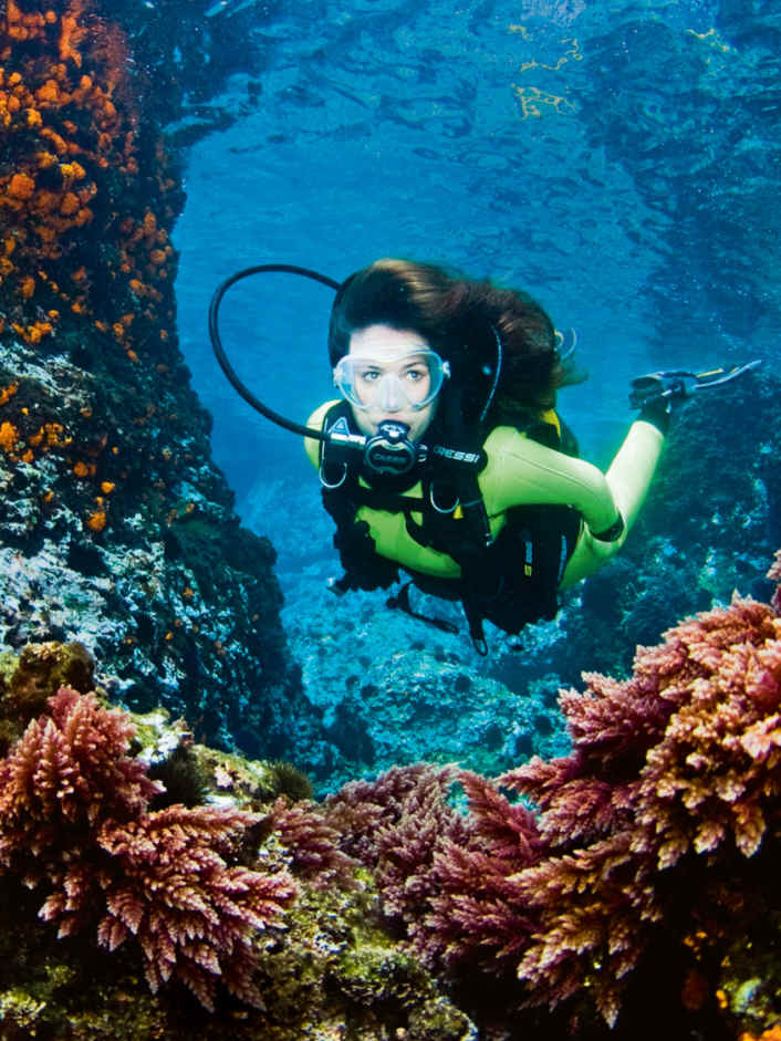 The boat as a dive site
