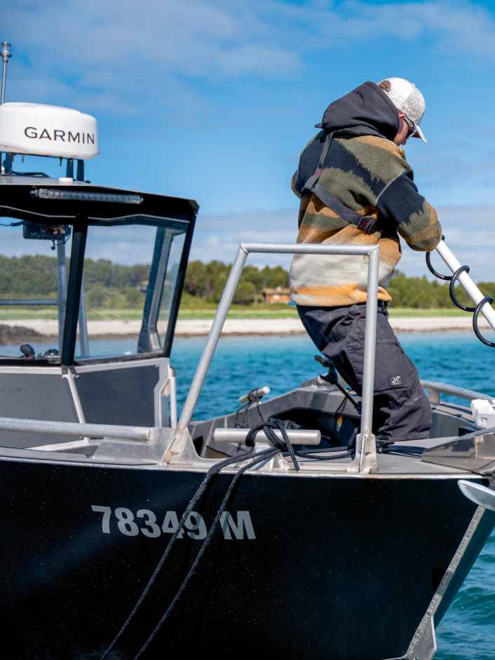 Was Sie für einen Törn am Vestfjord wissen sollten