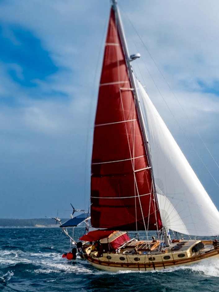 Maritimes Kuriositätenkabinett unter Segeln