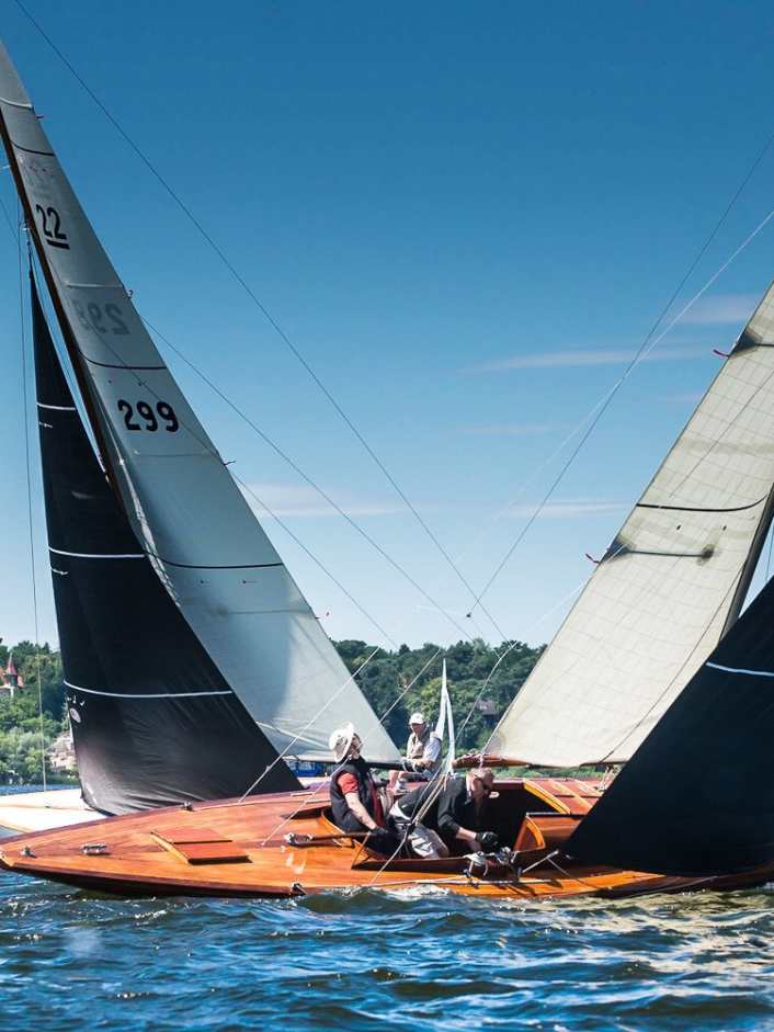 Du bois noble sur le Wannsee et la Havel