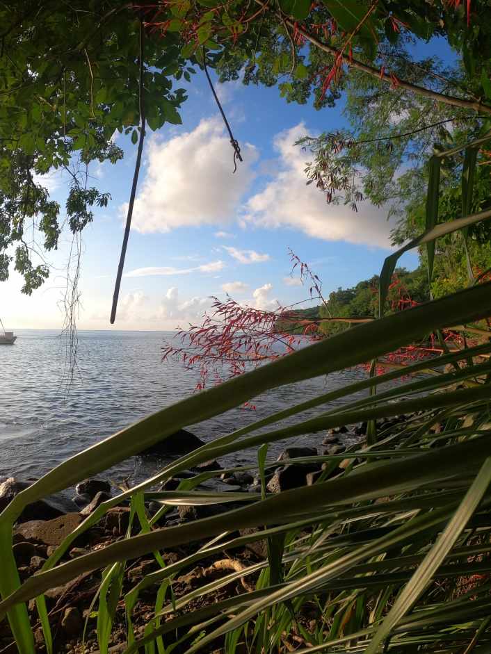Une année dans les Caraïbes : côtés ensoleillés et sombres d'un paradis de la voile