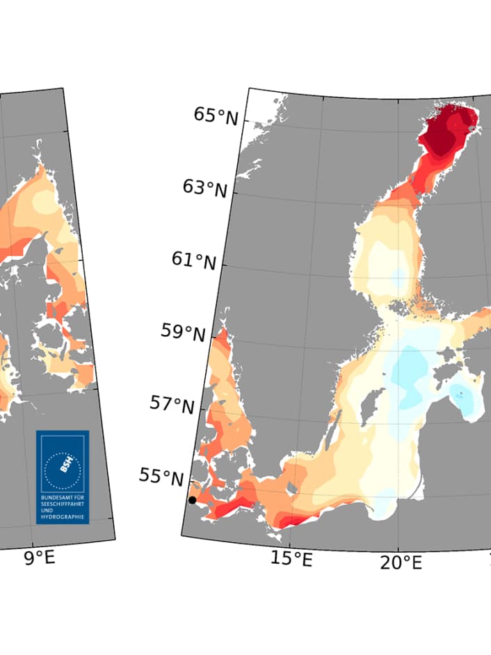 Neue Temperaturrekorde in Nord- und Ostsee