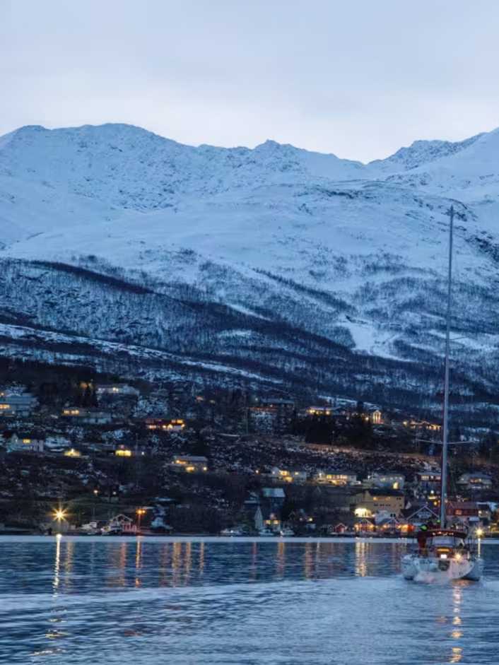 Croisière glaciale dans le Grand Nord - whalewatching et aurores boréales compris