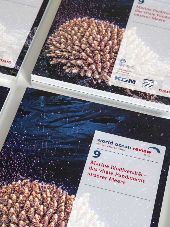 Meeresschutz funktioniert – wenn er richtig umgesetzt wird