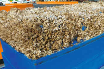 Water resistance due to fouling - BRAKED OUT