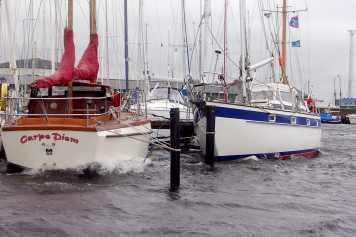Bizarre things that sailors experience in the harbour in bad weather