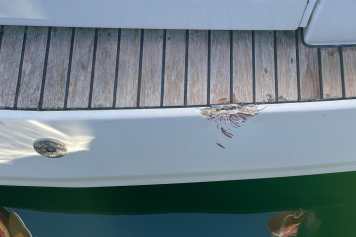 Properly insured for your boating holiday