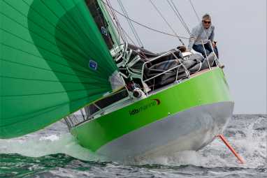 Plattnasenflunder mit Sinn für das Wesentliche