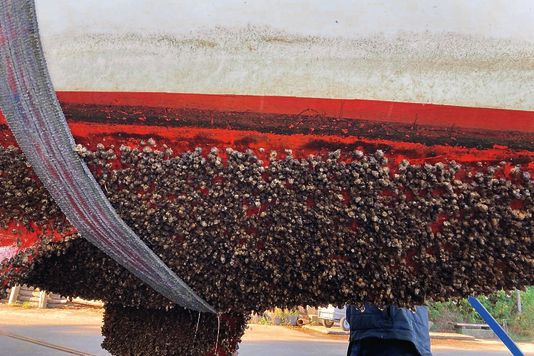 Alles über Antifouling-Systeme