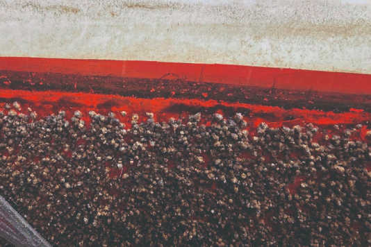 Antifouling-Systeme im Überblick
